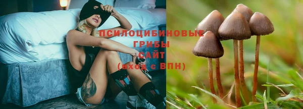 гидропоника Белокуриха