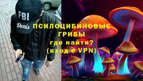 гидропоника Белокуриха
