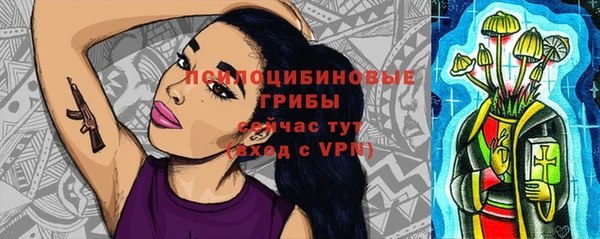 гидропоника Белокуриха