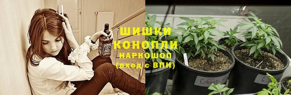 гидропоника Белокуриха